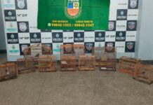 PMAM flagra comércio ilegal de aves silvestres em feira no Jorge Teixeira, em Manaus