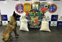 Mais de 30 quilos de drogas são encontrados escondidos em sacos de farinha durante operação no interior do AM