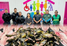 PMAM apreende 900 kg de pescado irregular e doa alimentos para famílias carentes em Beruri