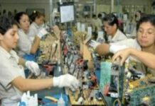 Economia do Amazonas: entre a força do extrativismo e a inovação da Zona Franca de Manaus