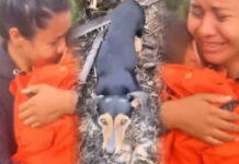 Menino de 2 anos é resgatado por bombeiros após passar noite na mata sendo protegido por cães, em Humaitá (AM)