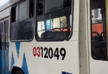 Idosa atropelada por ônibus na Compensa não resiste aos ferimentos e morre no hospital