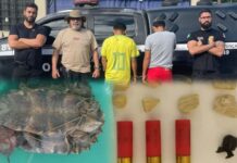 Dupla é presa por tráfico de drogas em São Paulo de Olivença; animal silvestre também foi apreendido