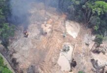 Operação desmonta garimpo ilegal no Amazonas