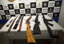 PM prende jovem por incêndio criminoso e porte ilegal de armas no Careiro Castanho