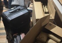 Polícia Civil do Amazonas apreende mais de 600 kg de skunk e desarticula esquema interestadual de tráfico