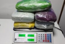 Base Arpão 3: Cadela policial encontra seis quilos de haxixe escondidos em caixa de papelão