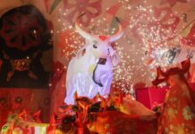 Garantido comemora título com Festa da Vitória no Sambódromo neste sábado (5/7)