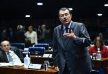 Senado aprova, por unanimidade, Programa Acredita Exportação para fortalecer pequenos negócios no comércio internacional