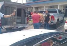 Polícia Civil prende integrante de grupo criminoso responsável por aplicar golpes de crédito consignado em professores