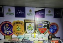 Base Arpão 3: PMAM apreende mais de 20 kg de drogas com apoio da cadela policial Luna