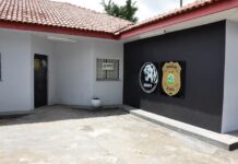 Polícia Civil prende mulher em flagrante por adulteração de sinal identificador de veículo automotor