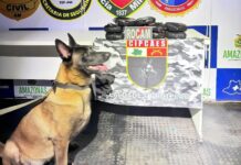 Cadela policial encontra 12 kg de drogas em mala e mulher é presa em flagrante no AM