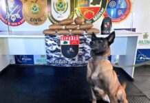Base Arpão 3: PMAM apreende mais de 26 quilos de drogas em duas embarcações no interior do Amazonas