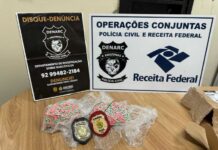 Carga com dois mil comprimidos de Ecstasy é apreendida em Manaus