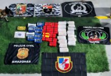 Base Arpão 3: Cadela policial encontra 40 quilos de drogas em bagagens