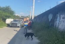 Sequestro termina com execução e homem gravemente ferido na Zona Leste de Manaus