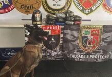 Cadela policial encontra mais de 13 kg de droga escondidos em lixo de embarcação no Amazonas