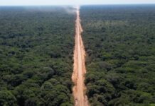BR-319 mais perto de sair do papel com aprovação de emenda de Eduardo Braga na Lei de Licenciamento Ambiental