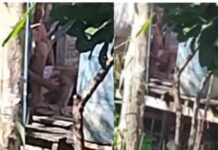 VÍDEO: Homem é filmado abusando sexualmente de cadela no interior do Amazonas