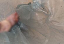 Corpo de bebê é encontrado mutilado em lixeira no interior do Amazonas