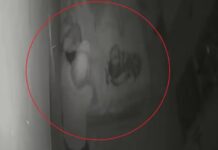 Homem invade casa e tenta estuprar grávida em Autazes (AM)
