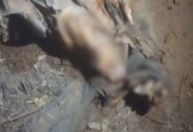 Corpo de homem desaparecido há mais de duas semanas é encontrado em área de mata em Manaus