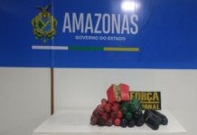 Polícia apreende mais de R$ 600 mil em drogas escondidas em embarcação no Amazonas