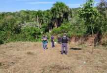 Mulher é encontrada morta em área de mata na zona norte da capital
