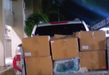Polícia Civil apreende 300 kg de skunk avaliados em R$ 6 milhões em Manaus