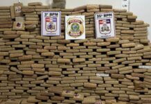 PF e PM apreendem quase uma tonelada de skunk no interior do Pará