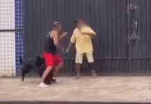 Passeio de pets termina em confusão entre donos e animais