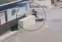 Homem é filmado esfaqueando cadela grávida em Manaus; polícia busca suspeito