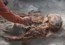 14 corpos de ritual antigo são encontrados em templo pré-inca no Peru