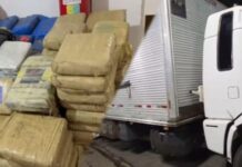 Polícia Civil do Amazonas apreende 250 quilos de maconha e prende dois homens em Manaus