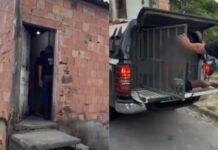 Homem condenado por tráfico e roubo é preso em operação da Polícia Civil em Manaus
