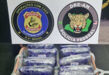 Mais de 13 kg de maconha são apreendidos com passageira no Aeroporto Eduardo Gomes