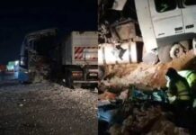 Batida entre ônibus e carreta no km 648 da BR-163 causa 11 mortes e 46 feridos