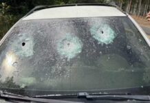 Homem confunde carro com o de rival, atira oito vezes e mata cachorro da família no AM