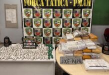 Ação da Força Tática resulta na apreensão de mais de 80 kg de entorpecentes