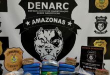 Polícia Civil apreende 20 quilos de cocaína avaliados em R$ 1,5 milhão na zona norte de Manaus