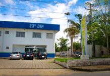 Homem que esfaqueou cadela prenha no Santa Etelvina é preso em Manaus
