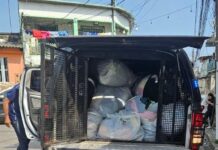 Polícia Civil prende mulher e recupera roupas furtadas durante operação na zona oeste
