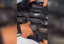Quarteto é detido com cocaína avaliada em R$ 7,7 milhões e veículos apreendidos no Tarumã