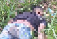 Corpo de homem é encontrado com sinais de tortura na Zona Norte de Manaus