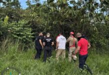 Homem é preso por matar e esconder corpo da esposa no Amazonas