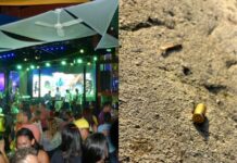 Músico da banda ‘Meu Xodó’ é baleado em ataque a tiros na Zona Norte de Manaus