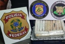 Homem é preso com mais de 15 kg de maconha no Aeroporto de Manaus