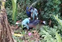 Homem é encontrado morto em área de mata no conjunto Petros, em Manaus