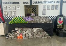Polícia encontra 225 tabletes de drogas em caminhão abandonado em Manaus